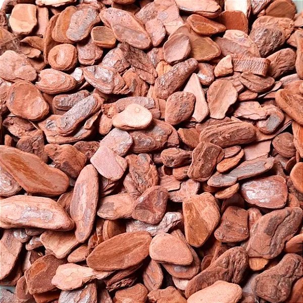 CASCA DE PINUS POLIDA P - 1,3kg