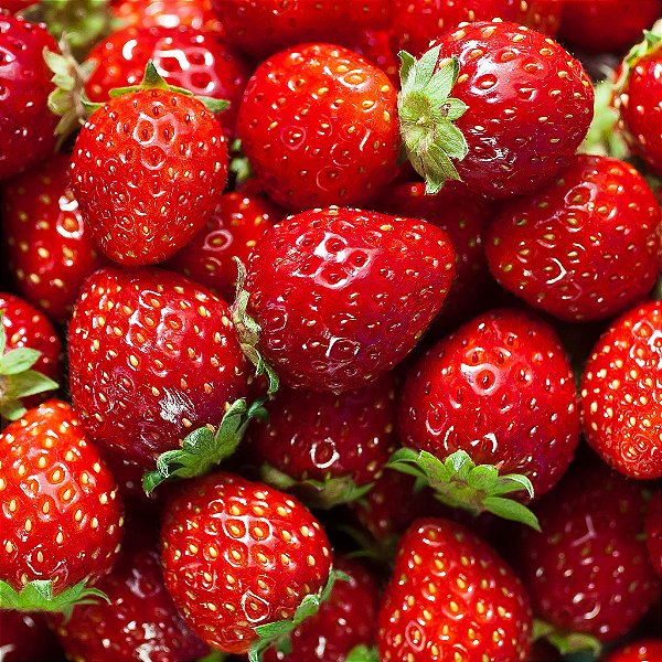 MORANGO (Fragaria x ananassa)