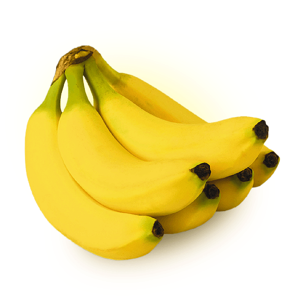 BANANA NANICA (Musa ssp.) - Muda com até 70 cm