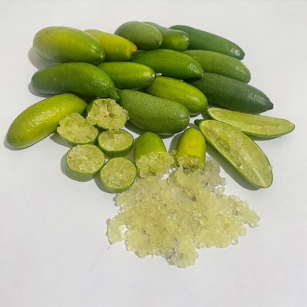 LIMÃO CAVIAR (Citrus australasica) - Muda Enxertada com até 1,20m