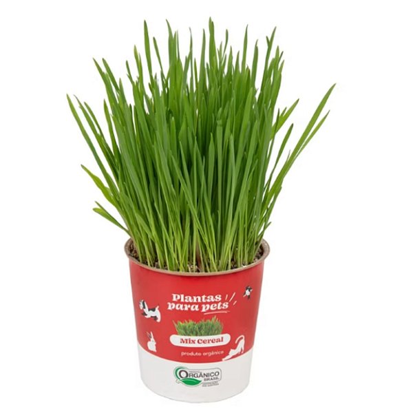 GRAMINHA PARA PETS - MIX CEREAIS - POTE 11