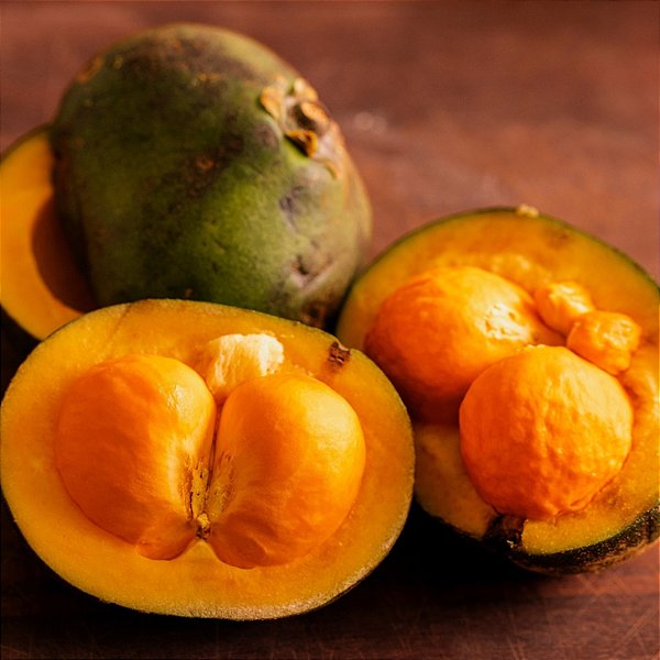 PEQUI (Caryocar brasiliense) - Muda com até 60 cm