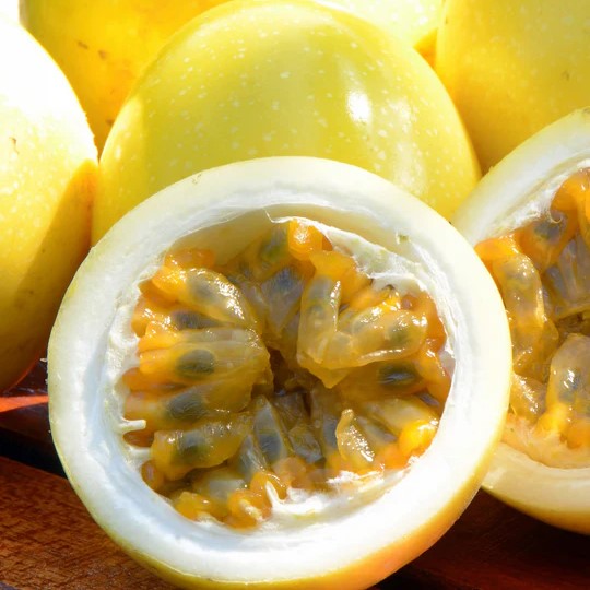 MARACUJÁ AMARELO AZEDO (Passiflora edulis) - Muda com até 40 cm