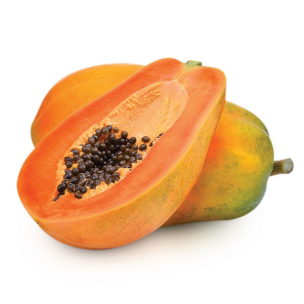 MAMÃO PAPAYA (Carica Papaya) - Muda com até 60 cm