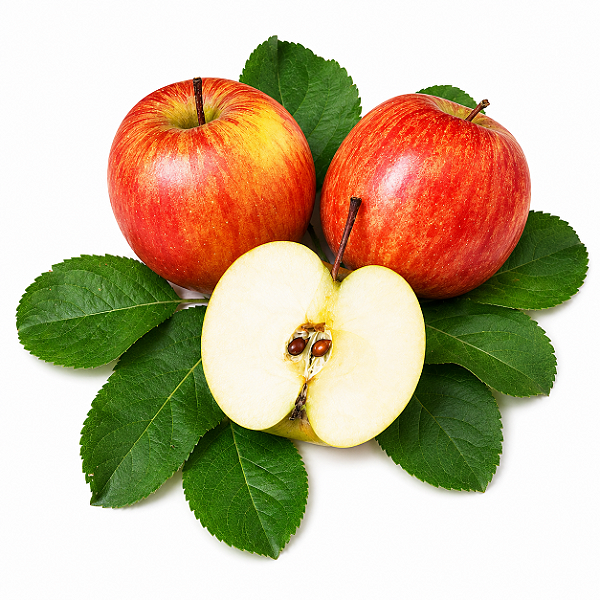MAÇÃ FUJI (Malus domestica) - Muda Enxertada com até 1,20m