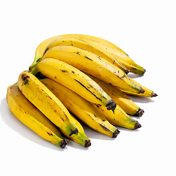 BANANA DA TERRA ANÃ BRS (Musa spp) - Muda com até 1 metro