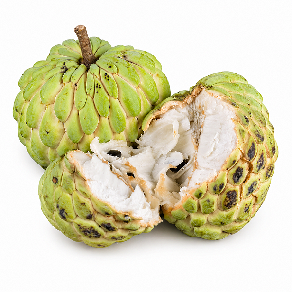 PINHA ou ATA (Annona squamosa) - Muda com até 80 cm