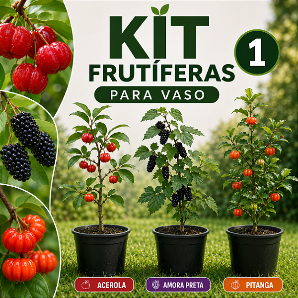 KIT 1 FRUTÍFERAS PARA VASO - Amora Preta, Acerola, Pitanga