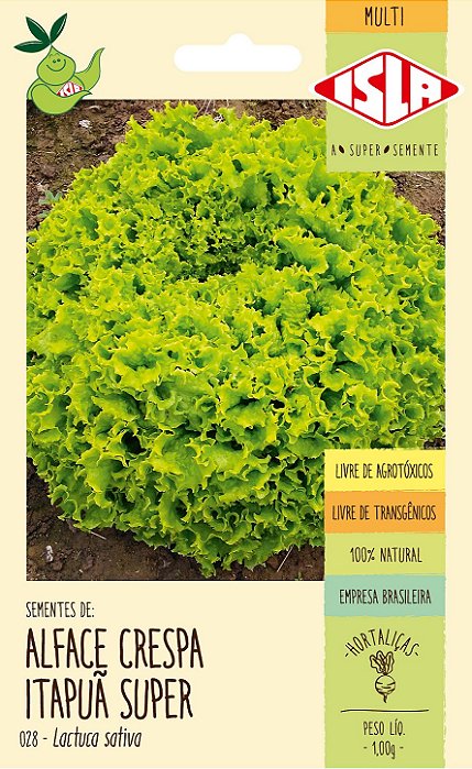 ALFACE CRESPA ITAPUÃ SUPER - Sementes