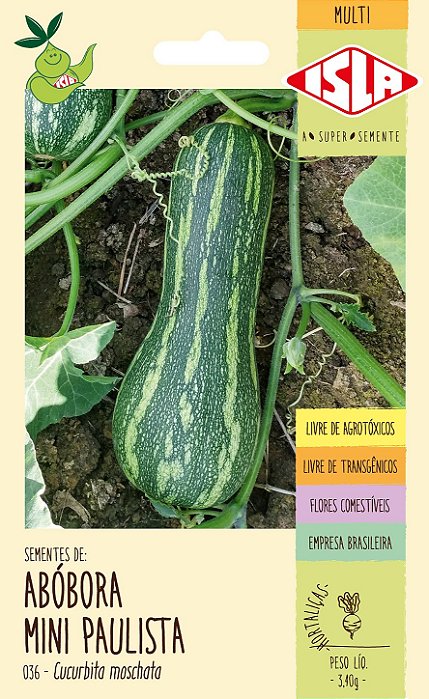 ABÓBORA MINI PAULISTA - Sementes