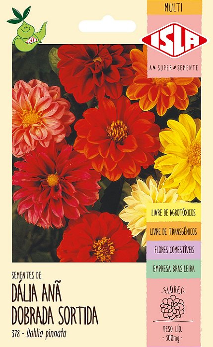 DÁLIA ANÃ DOBRADA SORTIDA - Sementes