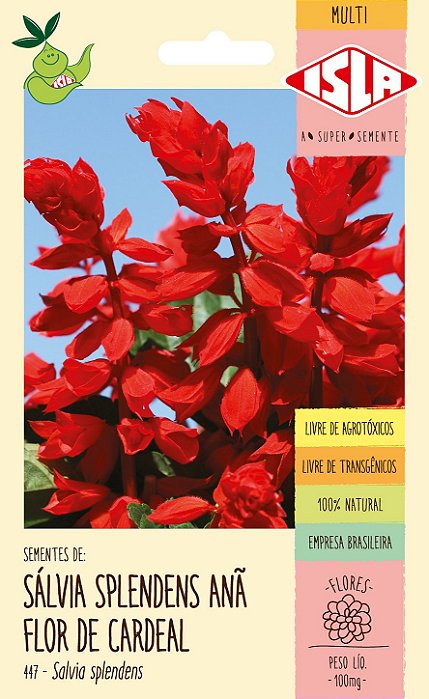 SÁLVIA SPLENDES ANÃ FLOR DE CARDEAL - Sementes