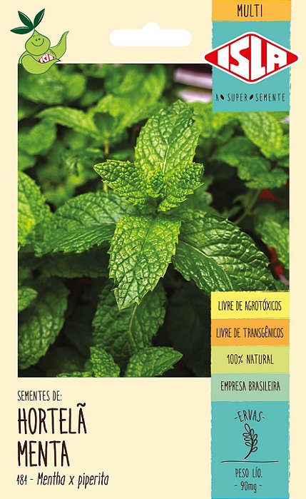 HORTELÃ MENTA - Sementes