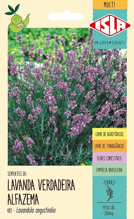 LAVANDA VERDADEIRA ALFAZEMA - Sementes