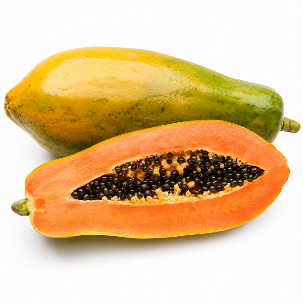 MAMÃO FORMOSA (Carica papaya) - Muda