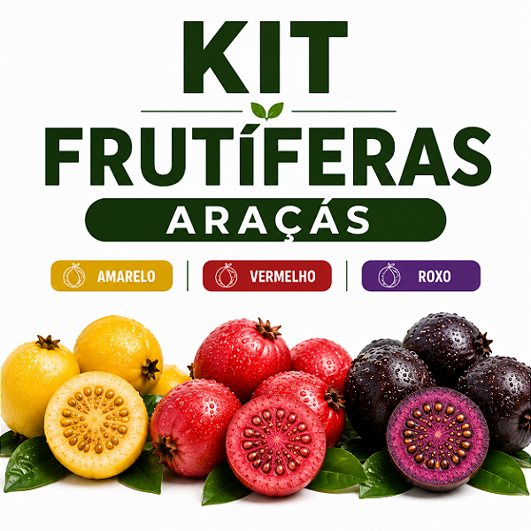 KIT FRUTÍFERAS - ARAÇÁ - Amarelo, Vermelho e Roxo