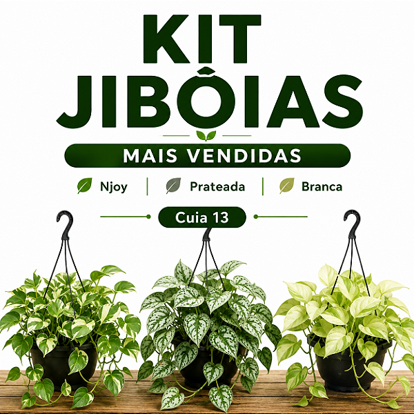 KIT JIBÓIAS MAIS VENDIDAS - Njoy, Prateada, Branca - Cuia 13