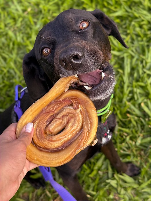 VERGALHO BOVINO - 1 UNID - PETBEM