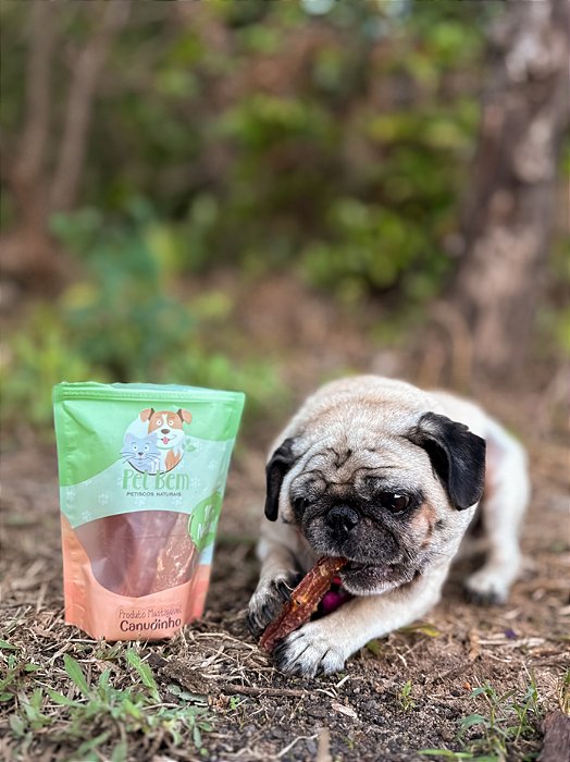 CANUDINHO AORTA BOVINA DESIDRATADA - 70G - PETBEM