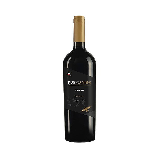 Vinho Paso De Los Andes Carmenere 750ml