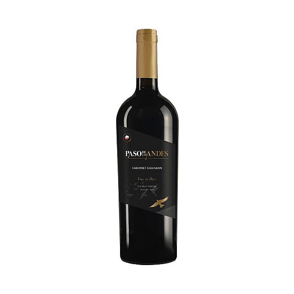 Vinho Paso De Los Andes Cabernet Sauvignon 750ml