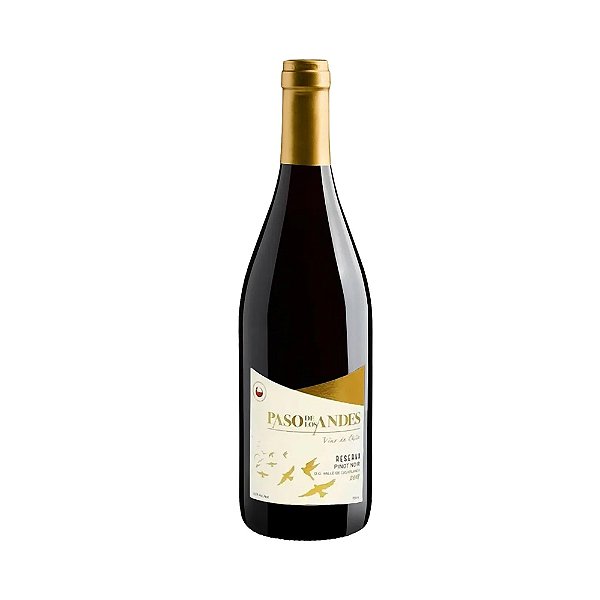 Vinho Paso De Los Andes Reserva Pinot Noir 750