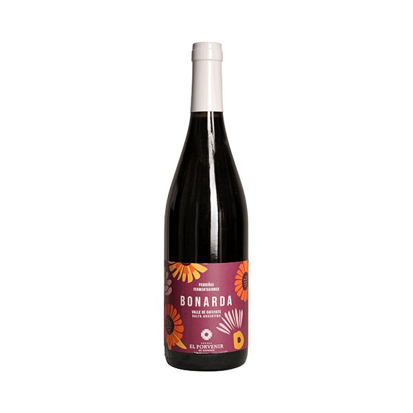 Vinho Tinto Seco El Porvenir Bonarda 750ml