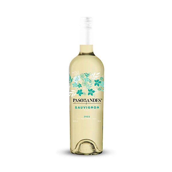 Vinho Branco Seco Paso De Los Andes Sauvignon Blanc  750ml