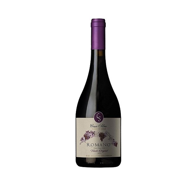 Vinho Tinto Seco Casa Silva Romano Parras Viejas 1912 750 ml