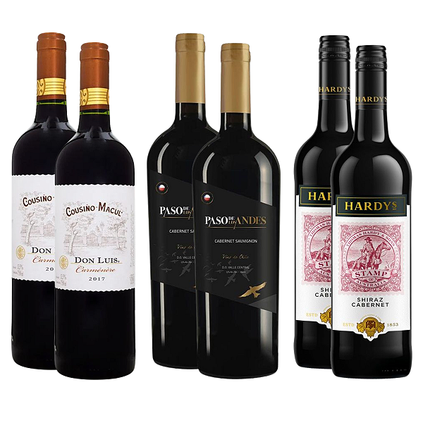 Kit 6 Vinhos Malbec & Cabernet do Novo Mundo