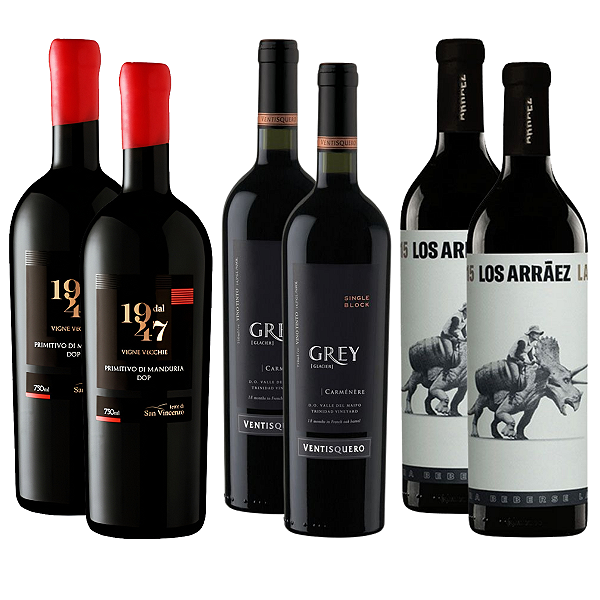 Kit 6 Vinhos Premium Importados – Itália, Chile e Espanha