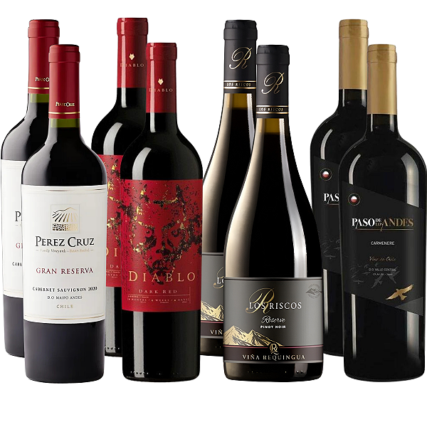 Kit 8 Tinto Chilenos – Perez Cruz, Diablo, Los Riscos e Paso