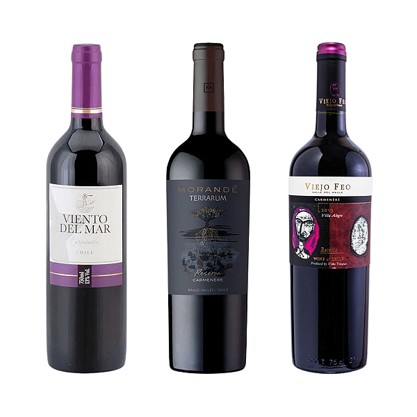 Kit 3 Tintos Carménère – Viento, Morandé & Viejo Feo