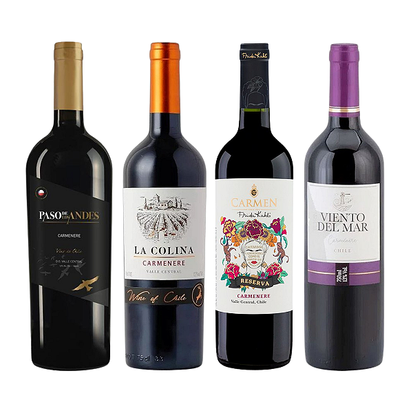 Kit 4 Vinhos Carmenere do Chile