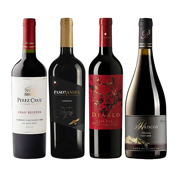 Kit 4 Vinhos Degustação Chile