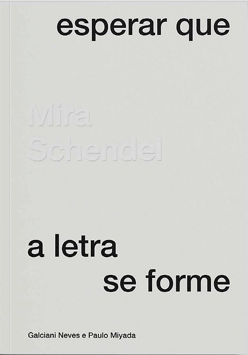 MIRA SCHENDEL - ESPERAR QUE A LETRA SE FORME