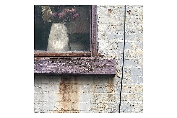 CARTÃO-POSTAL ISAY WEINFELD - BELEZA PURA