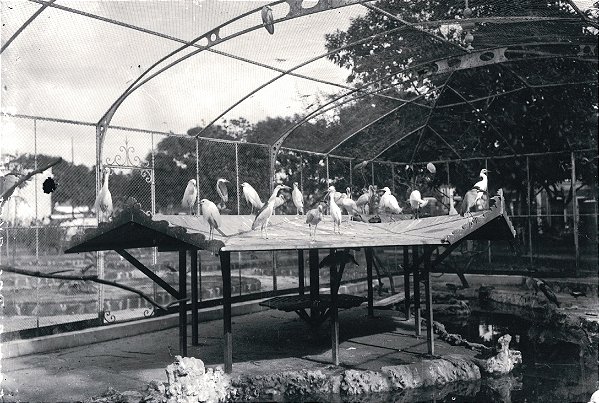 CARTÃO-POSTAL QUANDO O MUSEU É RIO - GAIOLA DAS AVES AQUÁTICAS, EM FERRO, IMPORTADA DA FRANÇA