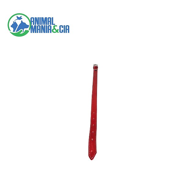 Coleira Couro N 7 57 Cm