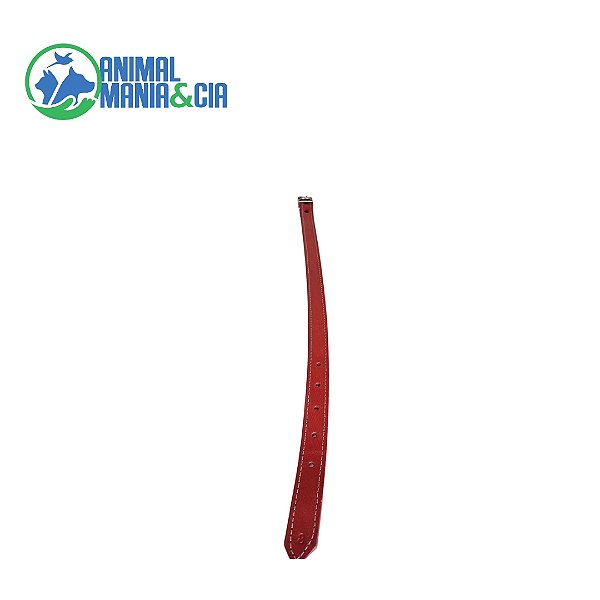Coleira Couro N 8 62 Cm