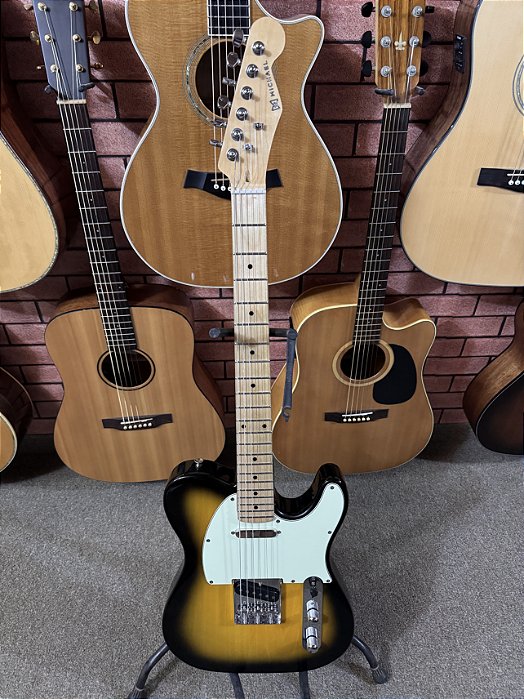 Guitarra Telecaster Michael com Fleor Alnico