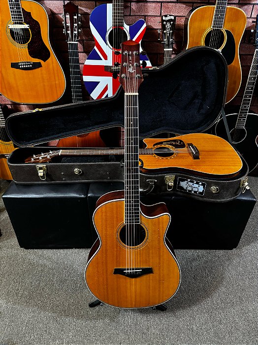 Violão Phx AH-GC100 tampo sólido fishman sonitone