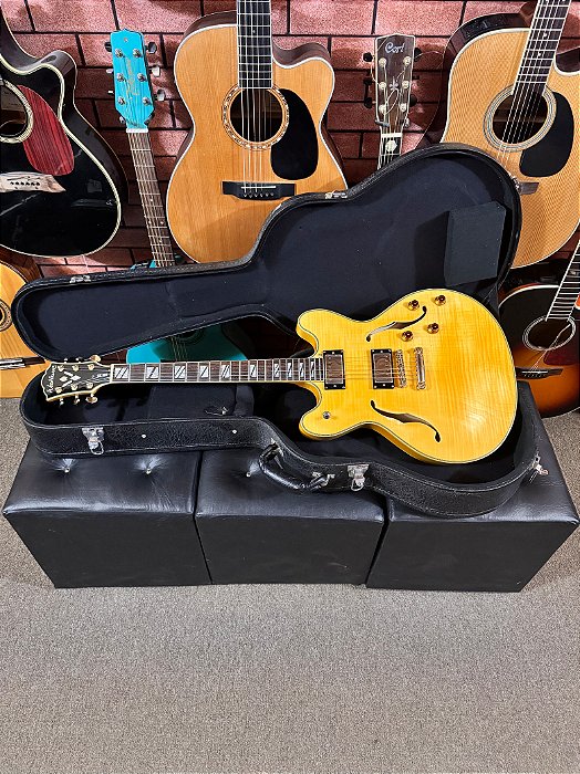 Guitarra Washburn semiacústica hb35 regulada com hardcase