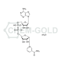 53-84-9 Β-Dinucleotídeo De Nicotinamida Adenina Nicotinamide Adenine Dinucleotide (Β) Hydrate