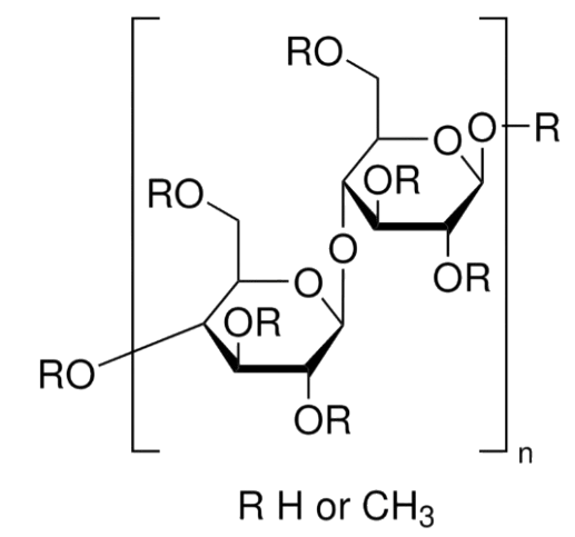 9004-67-5 Metil Celulose (Methyl Celulose)