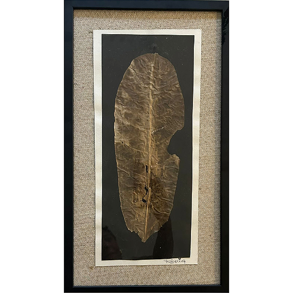 Colagem Árvore-Guarda-Chuva P C/ Moldura | By Regina Duarte