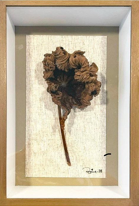 Colagem Matéria Orgânica P C/ Moldura | By Regina Duarte