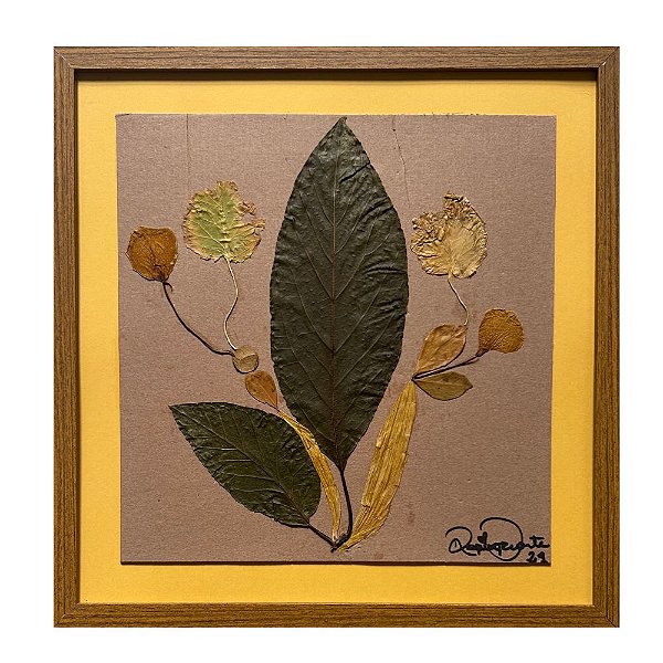 Colagem de Actinidia kolomikta P | By Regina Duarte