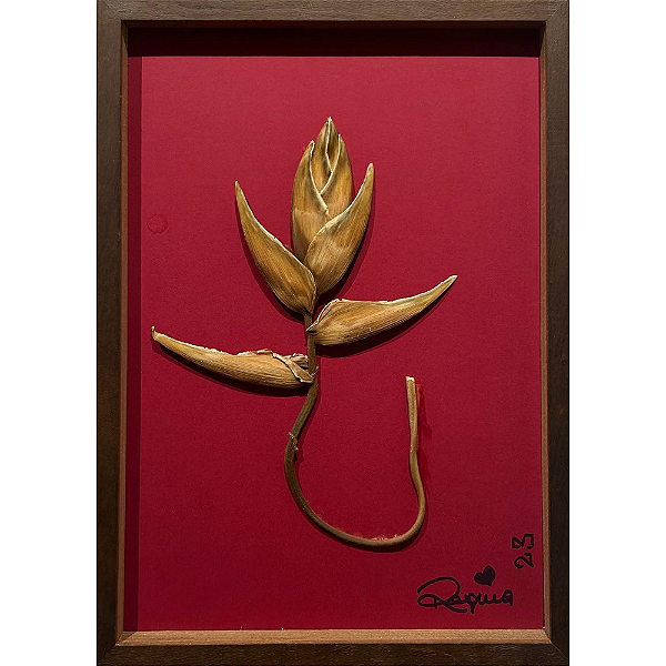Colagem Botânica Heliconia Bihai M by Regina Duarte