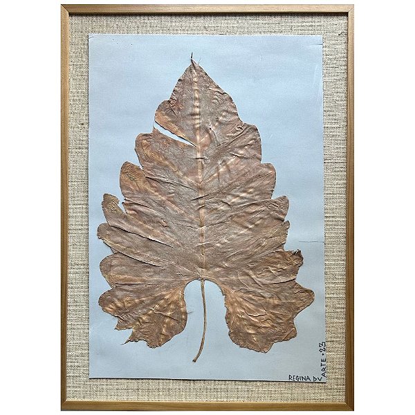 Colagem Botânica Alocasia Macrorrhizos G by Regina Duarte